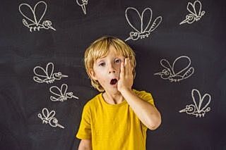 Insect Sting Allergy Action Plan