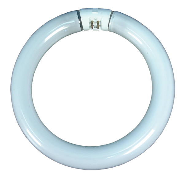 Dazor 22-Watt Circline Replacement Bulb