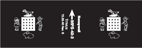 Titmus® Slide Michigan Preschool 20/40-3 (SMPS-40-3)
