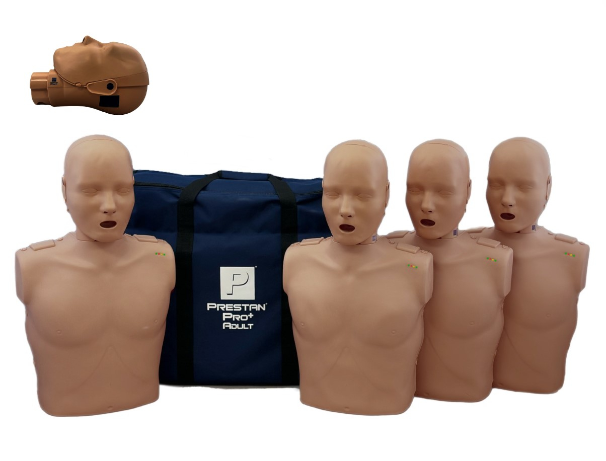 PrestanĀ® Pro+ Adult Manikin, 4/Pack, Dark Skin