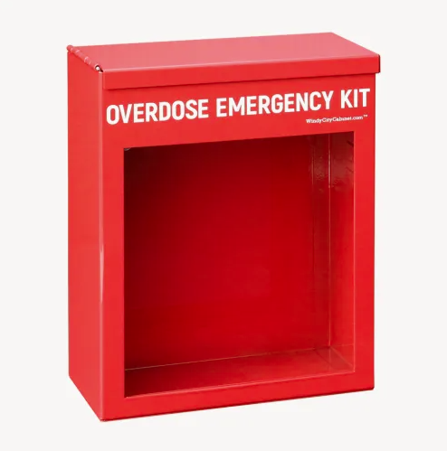 Non-Locking Overdose Cabinet, 9" x 7-1/4" x 3-5/8"