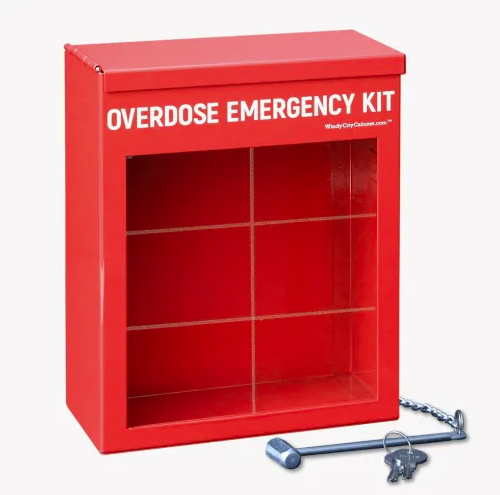 Locking Overdose Cabinet, 9" x 7-1/4" x 3-5/8"