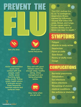 Flu Prevention Poster