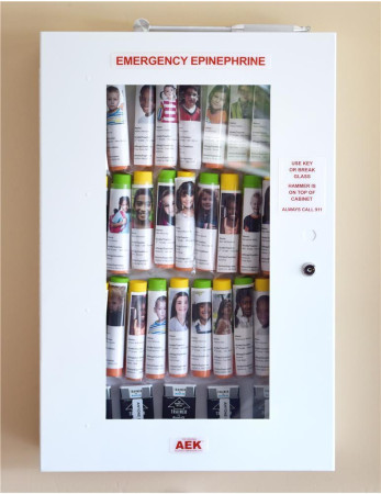 32-Unit AEK Epinephrine Cabinet