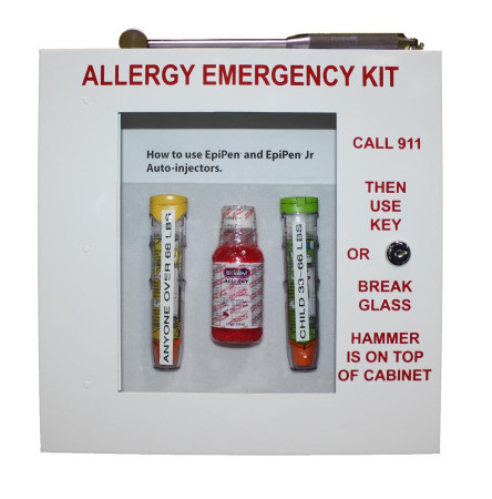 The Original Allergy Emergency Kit with Lock