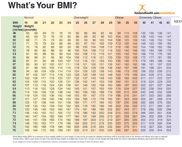 Bmi Status Chart