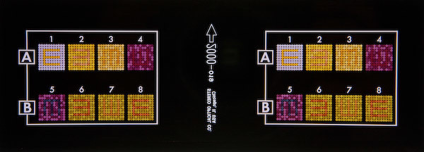 MacGill  20 Foot Testing - Far Acuity Charts - Vision Screening - Vision &  Hearing Screening - Shop