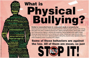Physical Bullying Poster