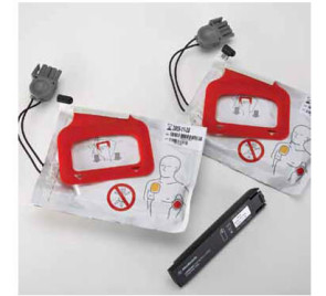 CHARGE PAK™ Kit /LIFEPAK EXPRESS® & CR® Plus