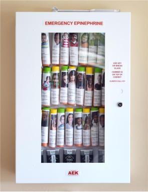 32-Unit AEK Epinephrine Cabinet