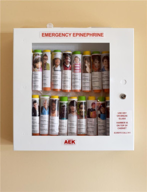 16-Unit AEK Epinephrine Cabinet