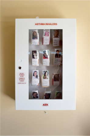 AEK Inhaler Storage Cabinet