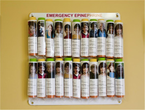 16-Unit AEK Epinephrine Storage Panel