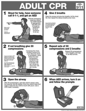 Adult CPR Tearpad, 50 Sheets