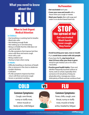 What You Need to Know About the Flu Poster, 17" x 22"