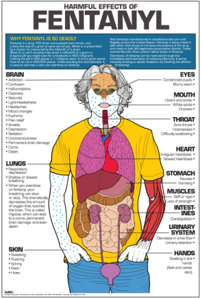 Harmful Effects of Fentanyl Poster, Laminated 24" x 36"
