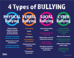 4 Types of Bullying Poster, 17" x 22", Laminated