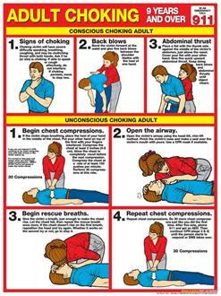 Adult Choking Chart, Laminated 18" x 24"