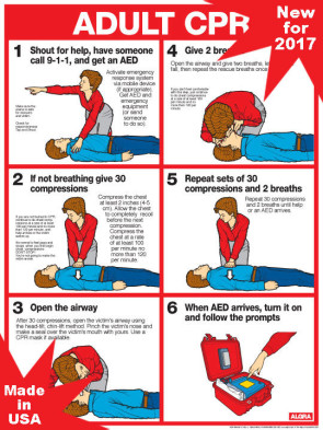 Adult CPR Chart, Laminated 18" x 24"