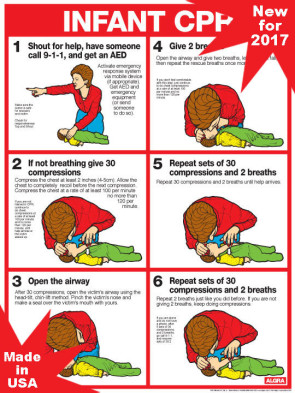 Infant CPR Chart, Laminated 18" x 24"