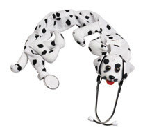 Dalmation Stethoscope Cover