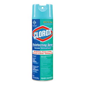 Clorox® Disinfecting Spray, 19 Oz