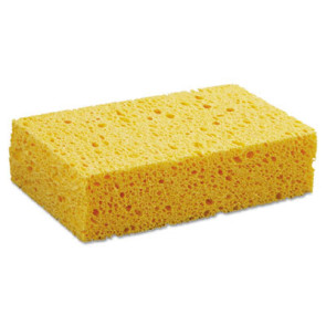 Cellulose Sponges, Medium (6/Pkg)