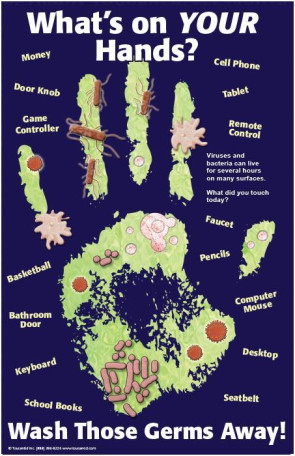 What's on Your Hands? Laminated Poster