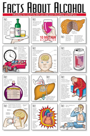 Facts About Alcohol Chart, Laminated 24" x 36"