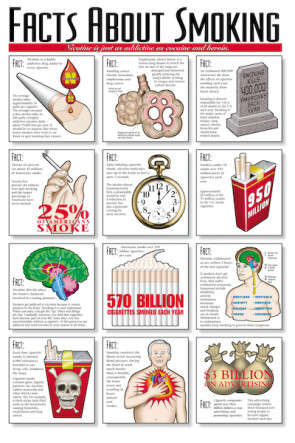 Facts About Smoking Chart, Laminated 24" x 36"