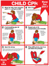 Child CPR Chart, Laminated 18" x 24"