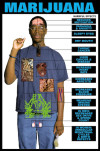 Harmful Effects of Marijuana Chart, Laminated 24" x 36"