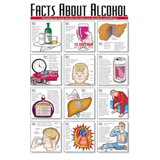 Facts About Alcohol Chart, Laminated 24
