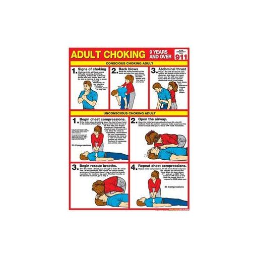 Adult Choking Chart, Laminated 18