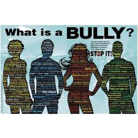 What is a Bully Poster