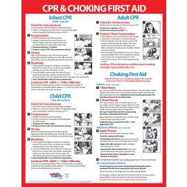 CPR & Choking First Aid Poster, 17