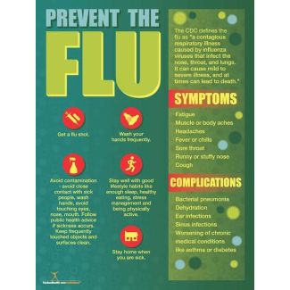 Flu Prevention Poster