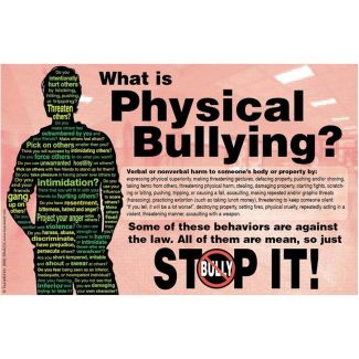 Physical Bullying Poster
