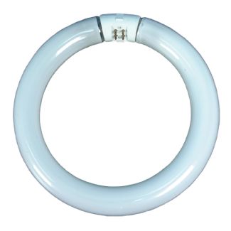 Dazor 22-Watt Circline Replacement Bulb