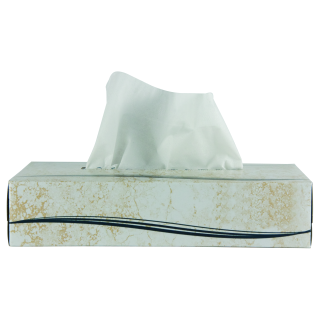 Economy Facial Tissues 100/Box, Case of 30 Boxes