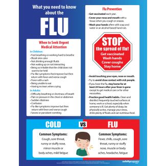 What You Need to Know About the Flu Poster, 17" x 22"