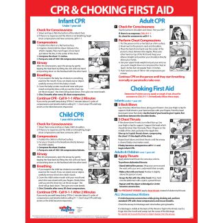 CPR & Choking First Aid Poster, 17" x 22", Laminated