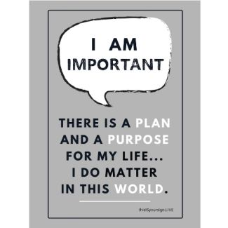 I Am Important Poster, 11" x 17", Laminated