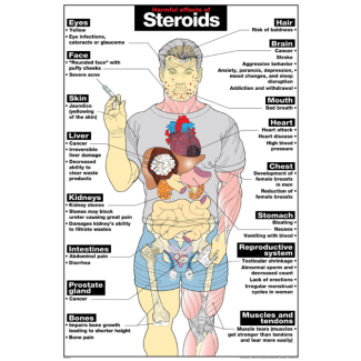 Harmful Effects of Steroids Laminated Poster