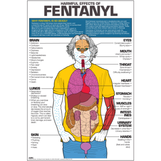 Harmful Effects of Fentanyl Poster, Laminated 24" x 36"