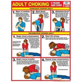 Adult Choking Chart, Laminated 18" x 24"
