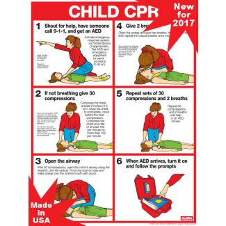 Child CPR Chart, Laminated 18" x 24"
