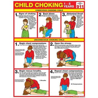 Child Choking Chart, Laminated 18" x 24"