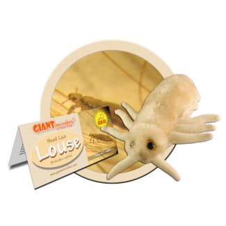 Louse Microbe Stuffed Animal