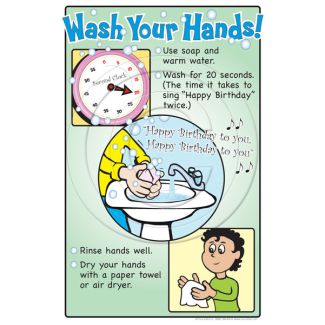Wash Your Hands! Laminated Poster